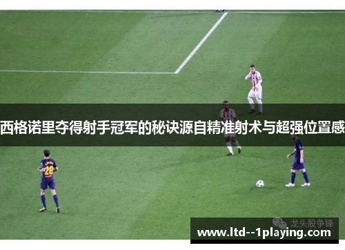 西格诺里夺得射手冠军的秘诀源自精准射术与超强位置感